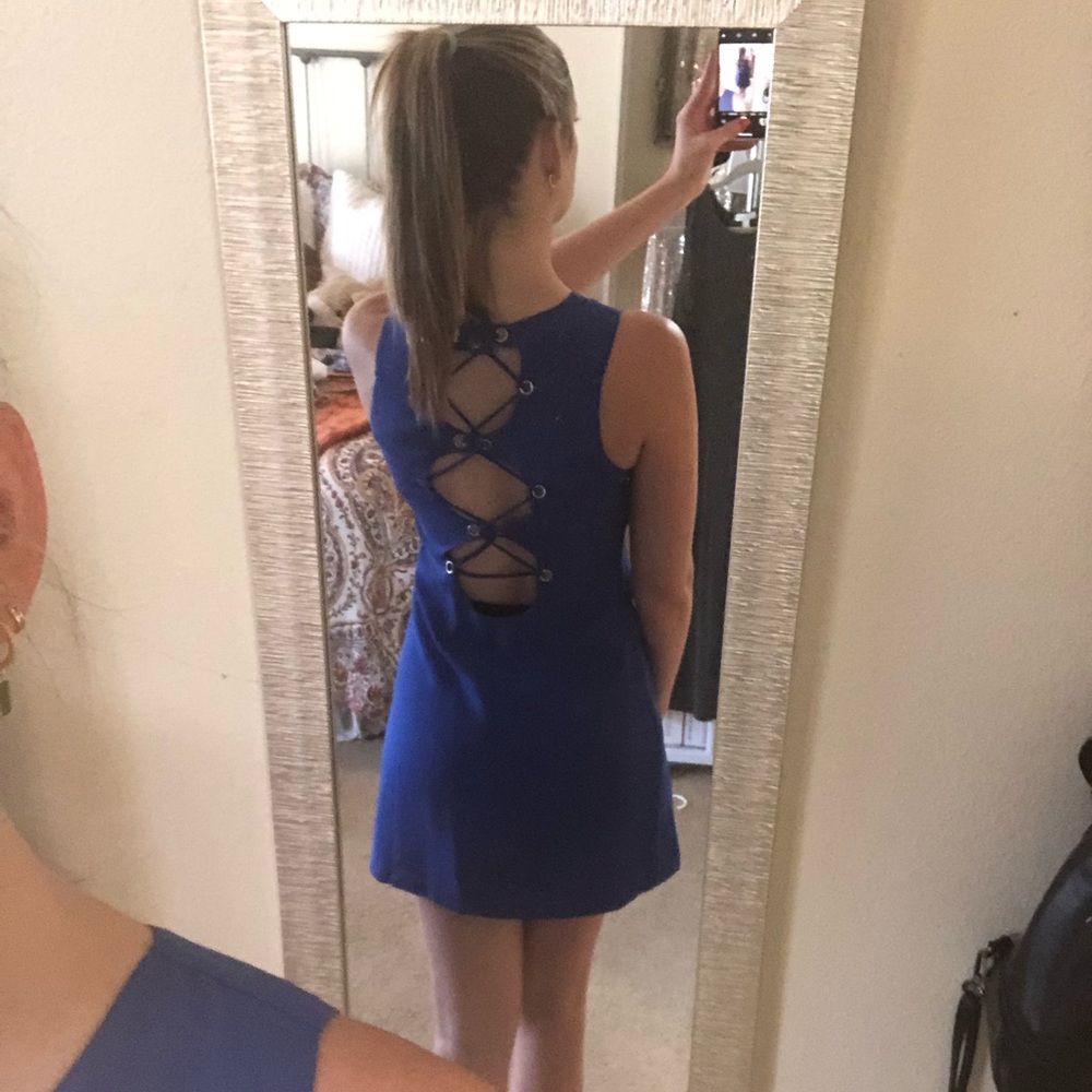 Blue Naked Zebra Dress